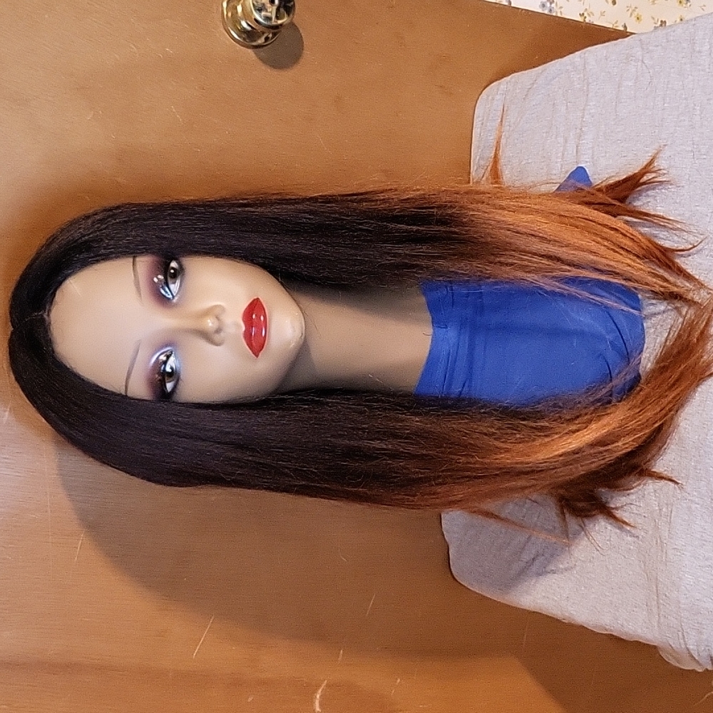 Long Two Tone Lace Front Wig